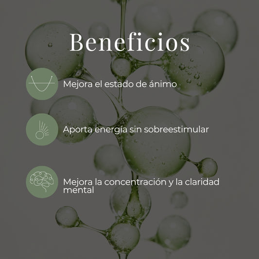 Enfoca tu Presente