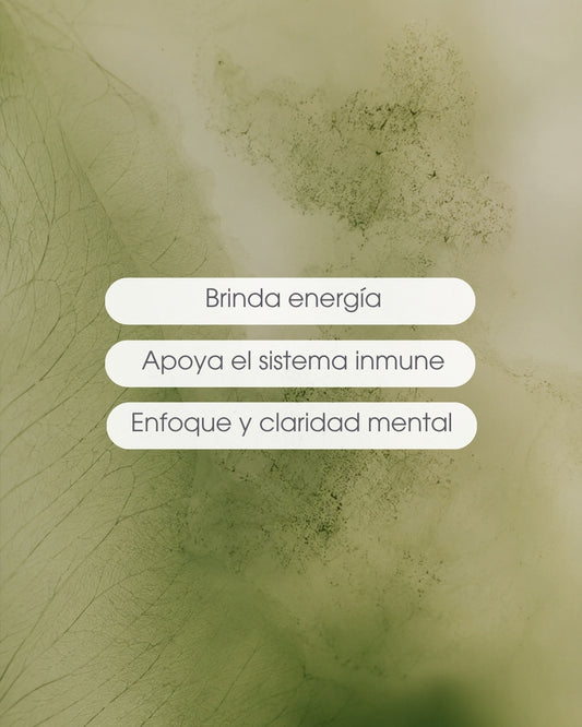 Pack Energía & Enfoque